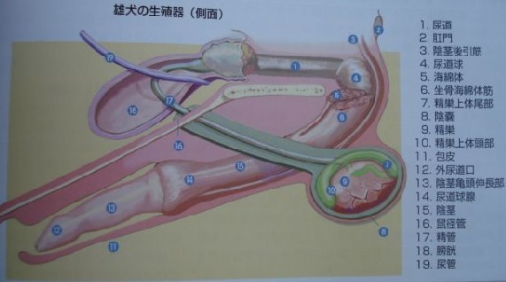 AG真人官方网址