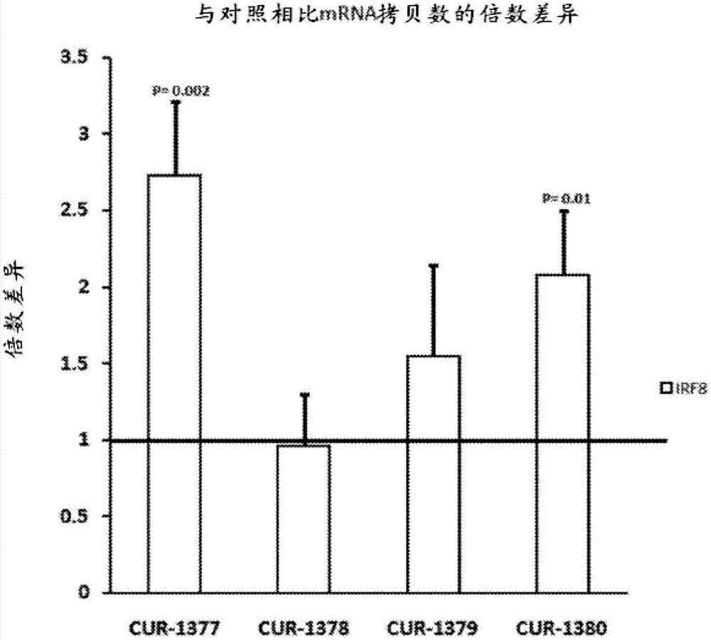 AG真人平台网址